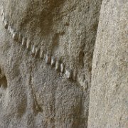 MonoBasin 193 : MonoBasin